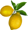 Limones